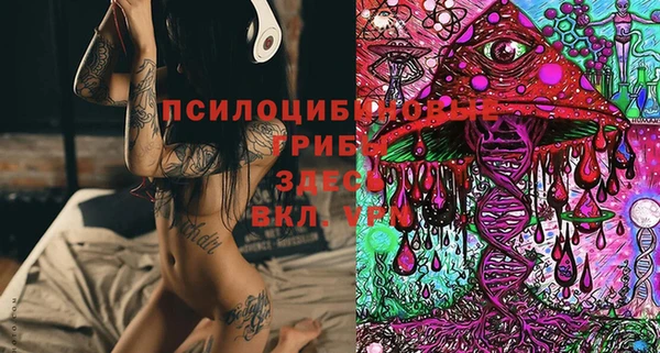 эйфоретик Куйбышев