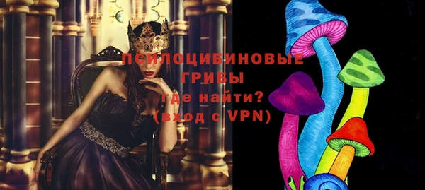 эйфоретик Куйбышев